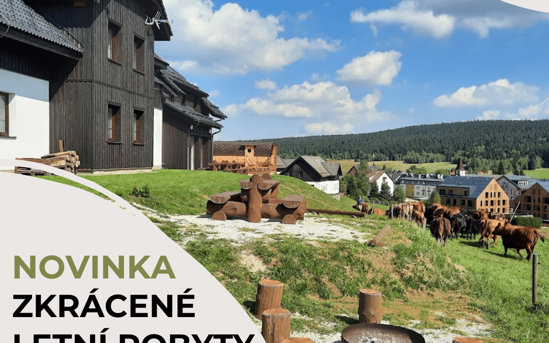 Zkrácené letní pobyty