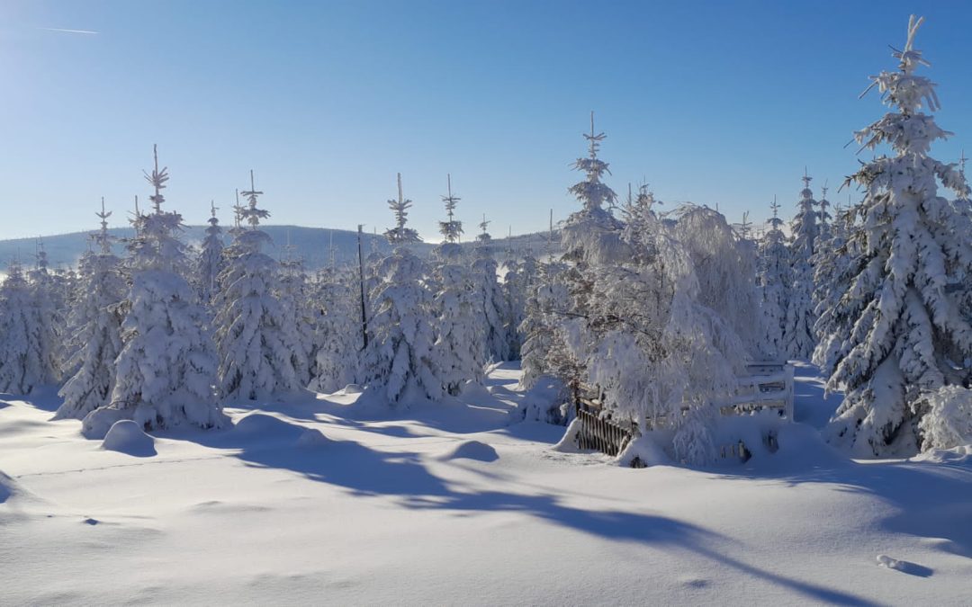 Šumavský výletník – prosinec